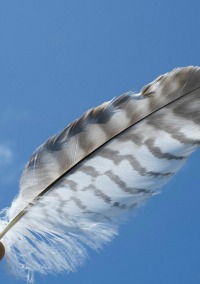 4windsenergy testimonials