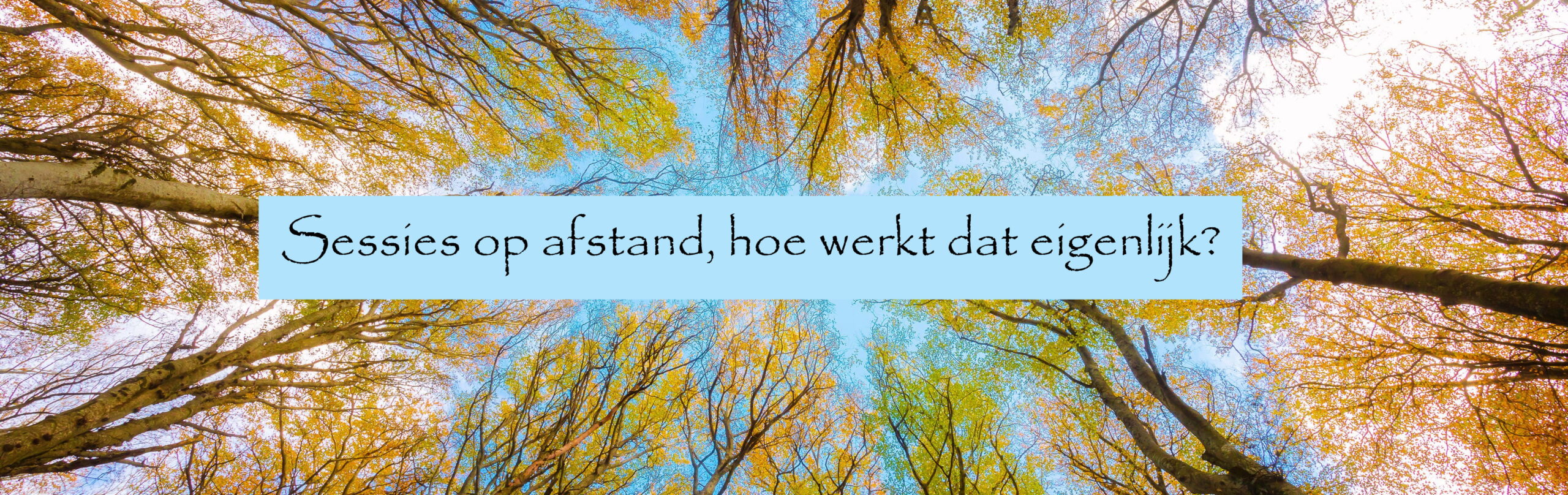 4windsenergy sessies op afstand